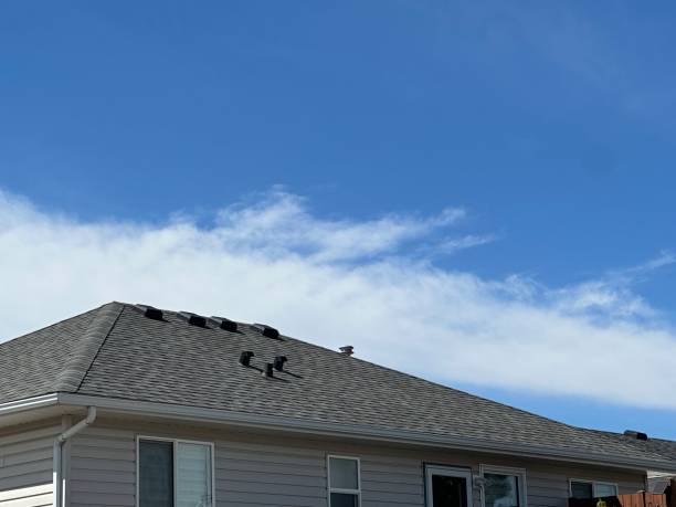 Best Roof Coating and Sealing  in Eagleview, PA